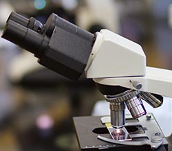 defect sorting defect sorting