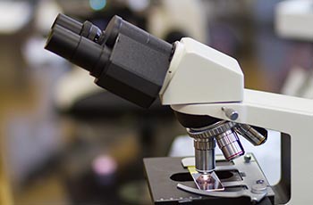 defect sorting defect sorting